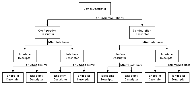 USB Device Descriptors