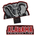 Collegiate Shaped USB Drive
