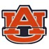 Auburn Tigers USB Drives
