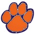 Clemson Tigers USB Drives
