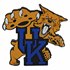 Kentucky Wildcats USB Drives
