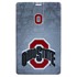 Ohio State Buckeyes USB Drives
