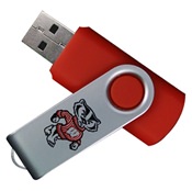 
Wisconsin Badgers USB Drives